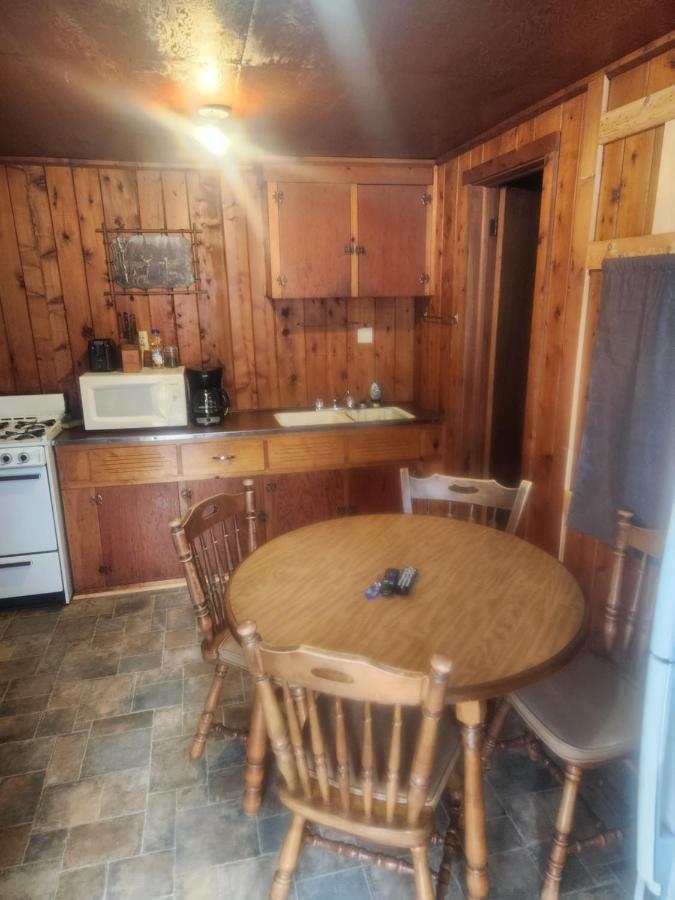 Cabin 2 Manistique Luaran gambar