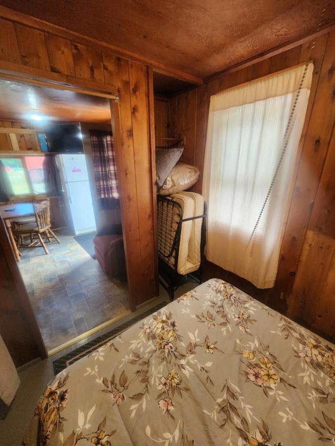 Cabin 2 Manistique Luaran gambar